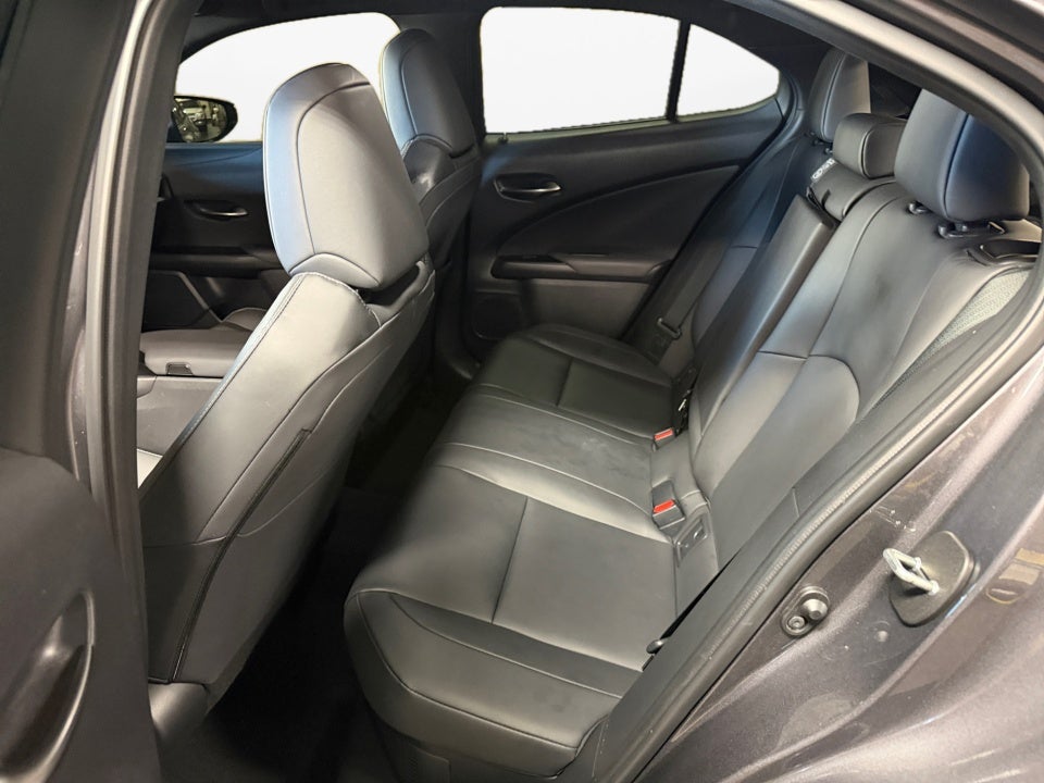 2025 Lexus UX 300h F SPORT Design