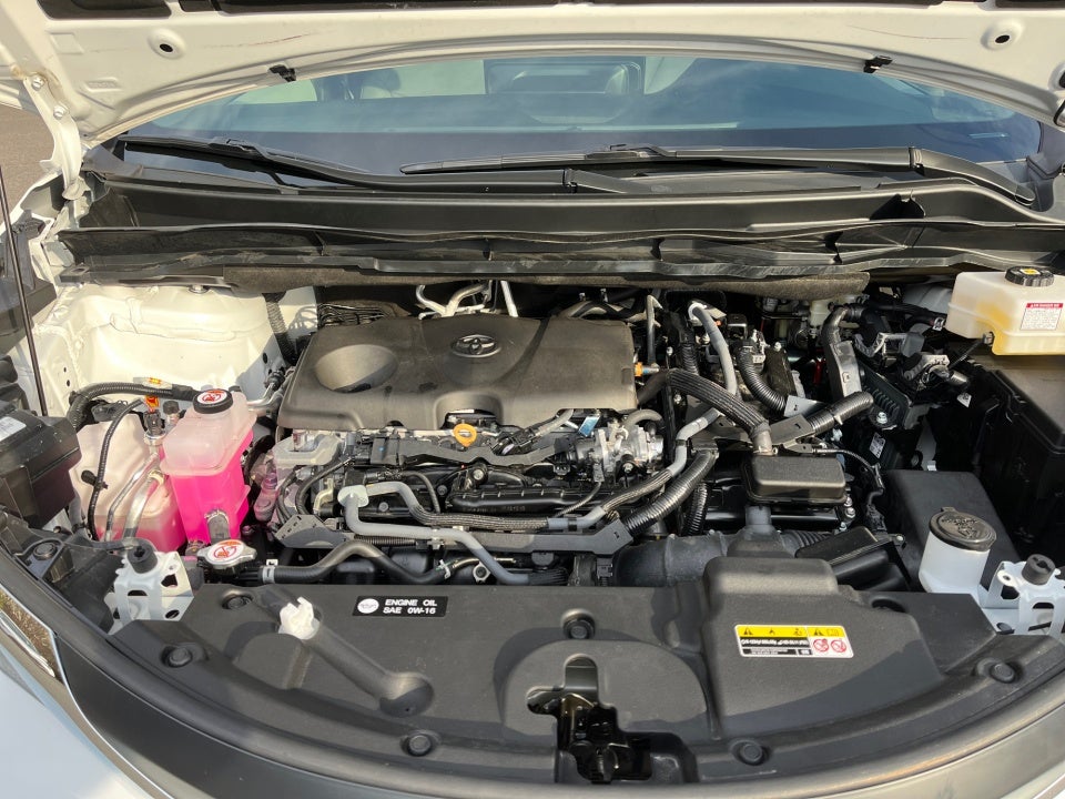 2025 Toyota SIENNA XLE XLE 8 Passenger